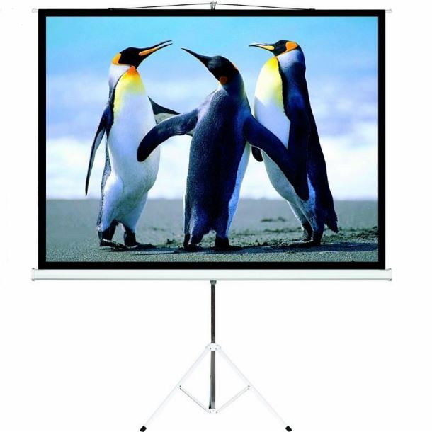 PANTALLA P/PROYECTOR C/TRIPODE 120"